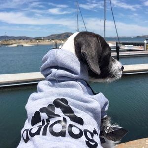 Adidog Sweatshirt (XS)